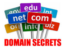 Learn About The Importance Of Domain Names And Protect Them Permanently - Image 1