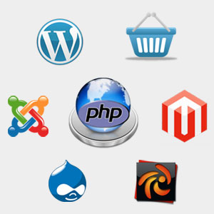 PHP Web development - an Ideal Platform for Creating Web 2.0 Based Dynamic Websites - Image 1