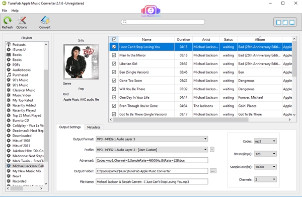 How Do You Put Apple Music on iPod Nano? By Katniss - Image 3