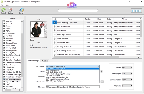 How Do You Put Apple Music on iPod Nano? By Katniss - Image 4