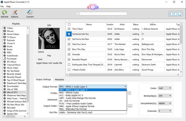 How Do You Put Apple Music on iPod Nano? - Image 4
