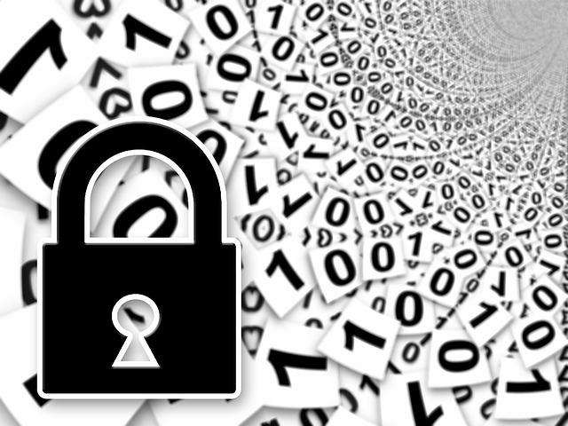 Online Security: Avoiding Identity Theft - Image 1